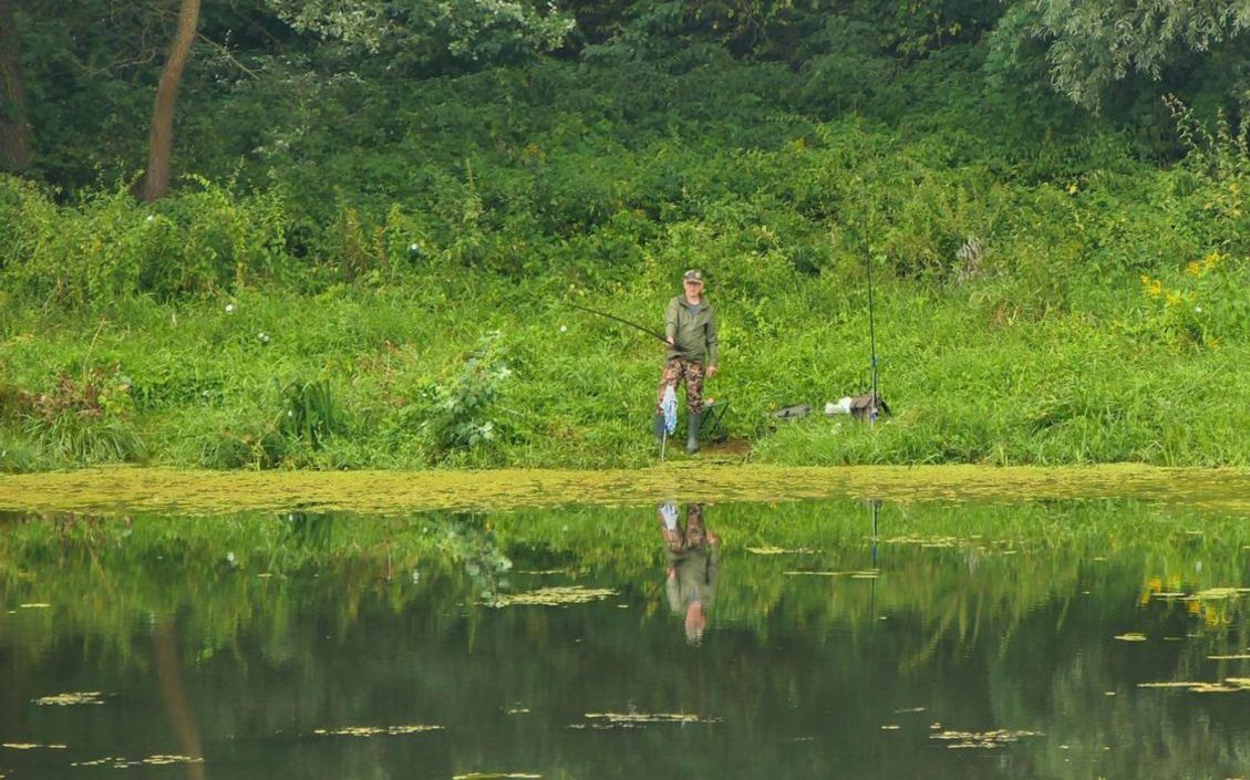 উষ্ণ সূর্যালোকে একটি ট্রাউট লড়াই করছে, খাঁজ কাটা ফিনস সাথে দৃশ্যমান।